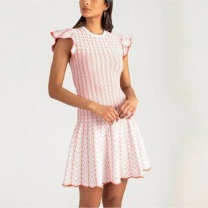 ANTHROPOLOGIE Shoshanna Callie Knit Flutter Sleeve Drop Waist Dress Size L